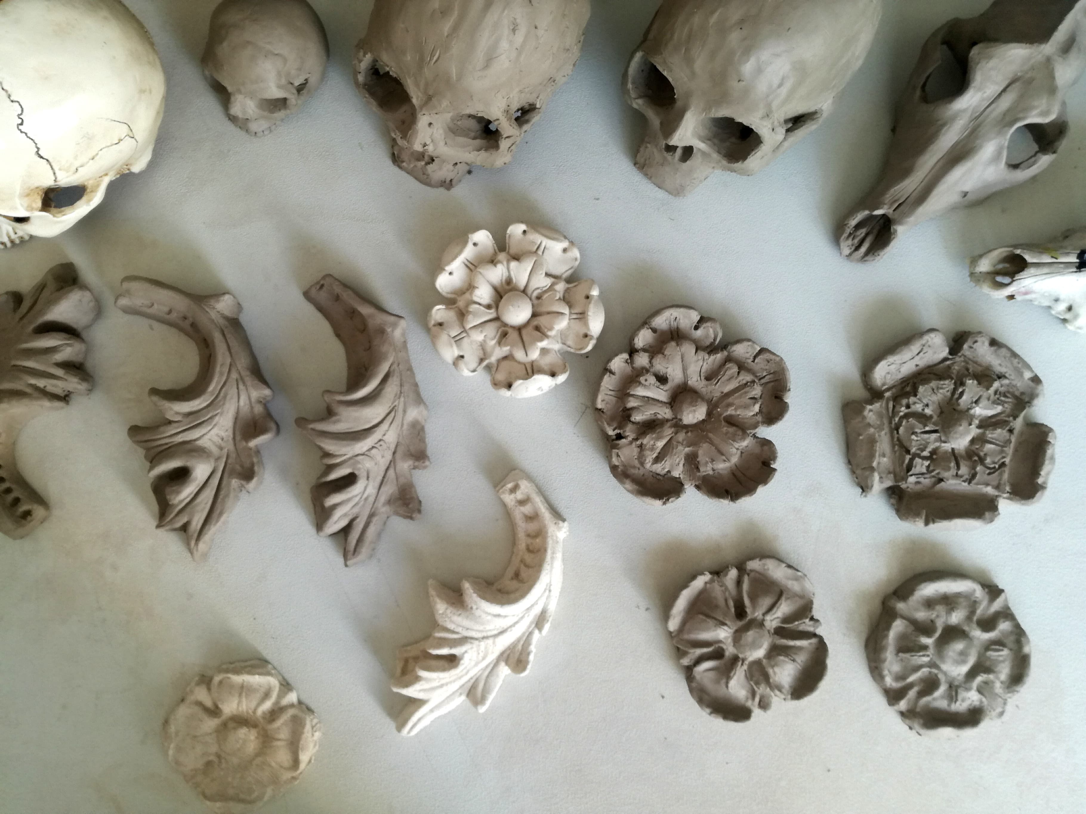 ornament arxhitektoniczny z gliny, studium czaszki ludzkiej czaszka psia w rzeźbie